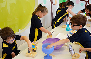 Do plantio à germinação: alunos do 2º ano aprendem na prática o ciclo das plantas